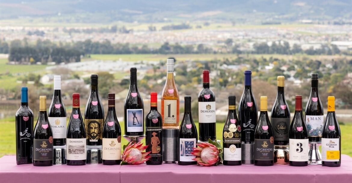 2025 Shiraz SA Challenge reveals top SA wines