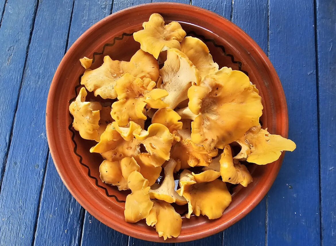 Yahoo lifestyle home