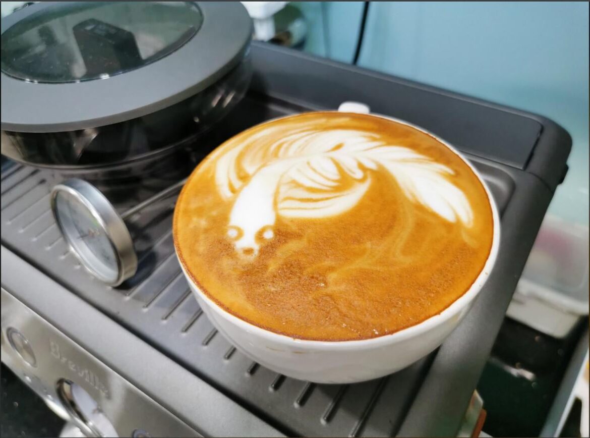 Tried making some fish-themed art for the first time.