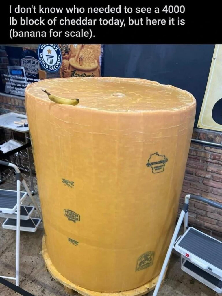 The big cheese!