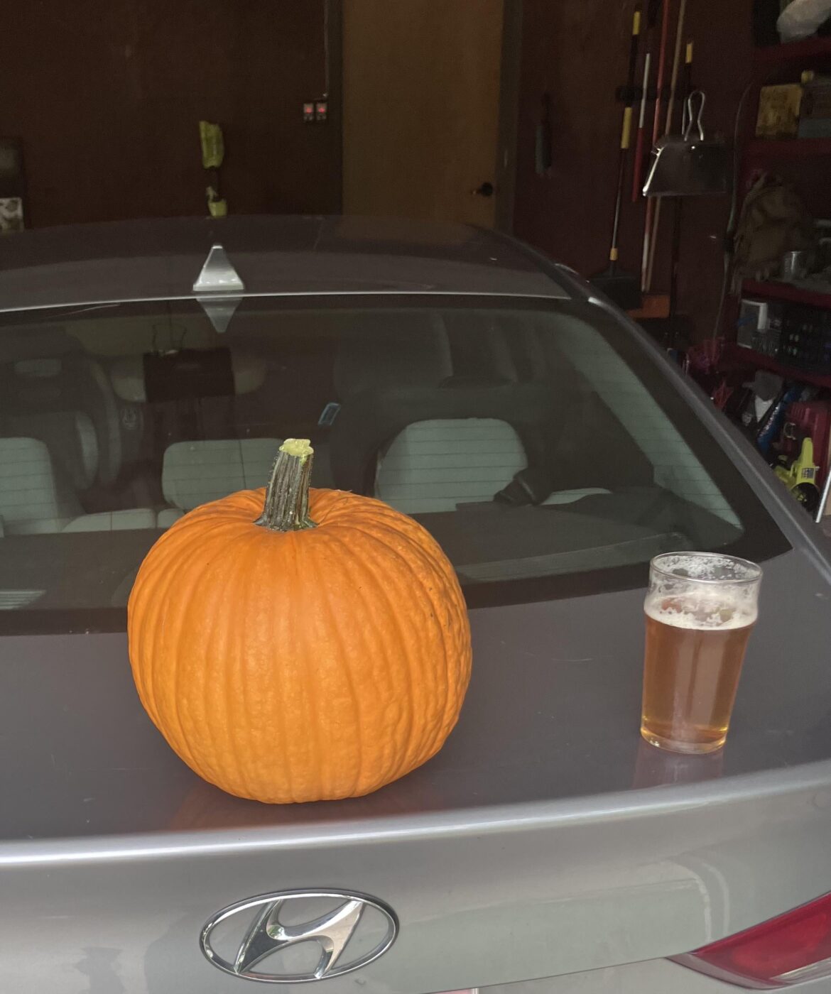 I grew my first pumpkin. Stoked!