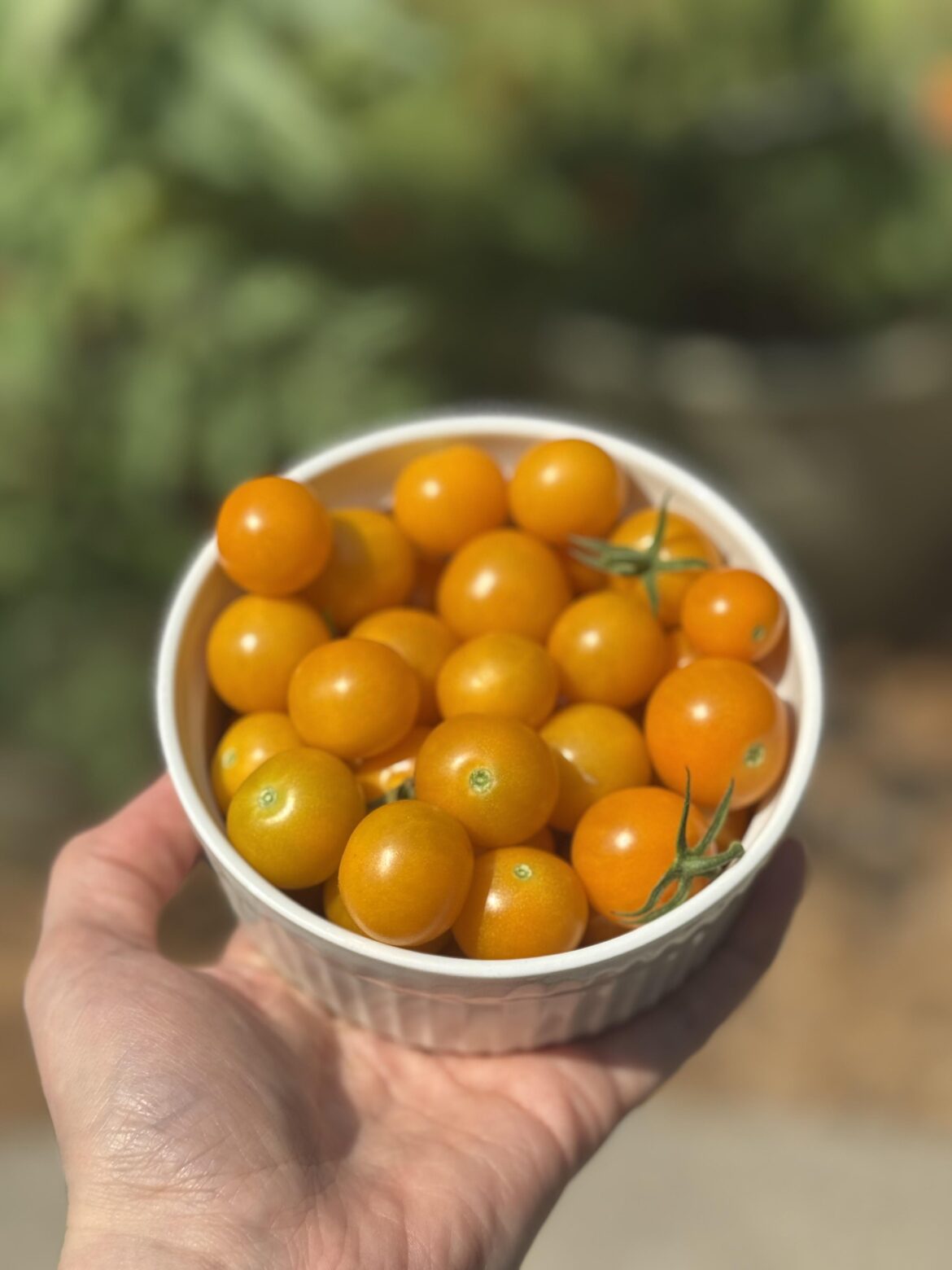 Finally more than four today!