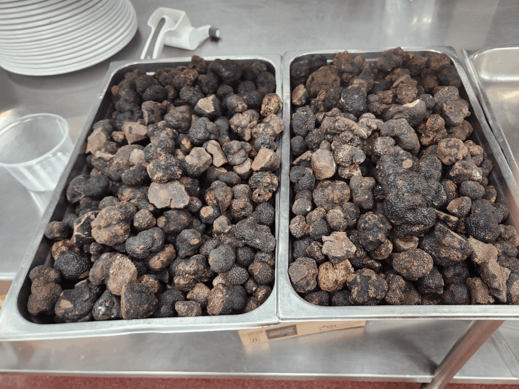 Seeing this while underpaid