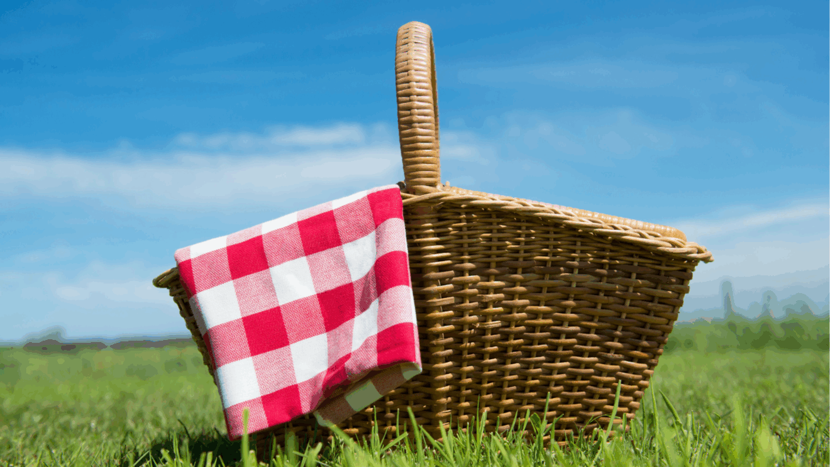 Posh snacks for a perfect picnic Picnic hamper on the grass