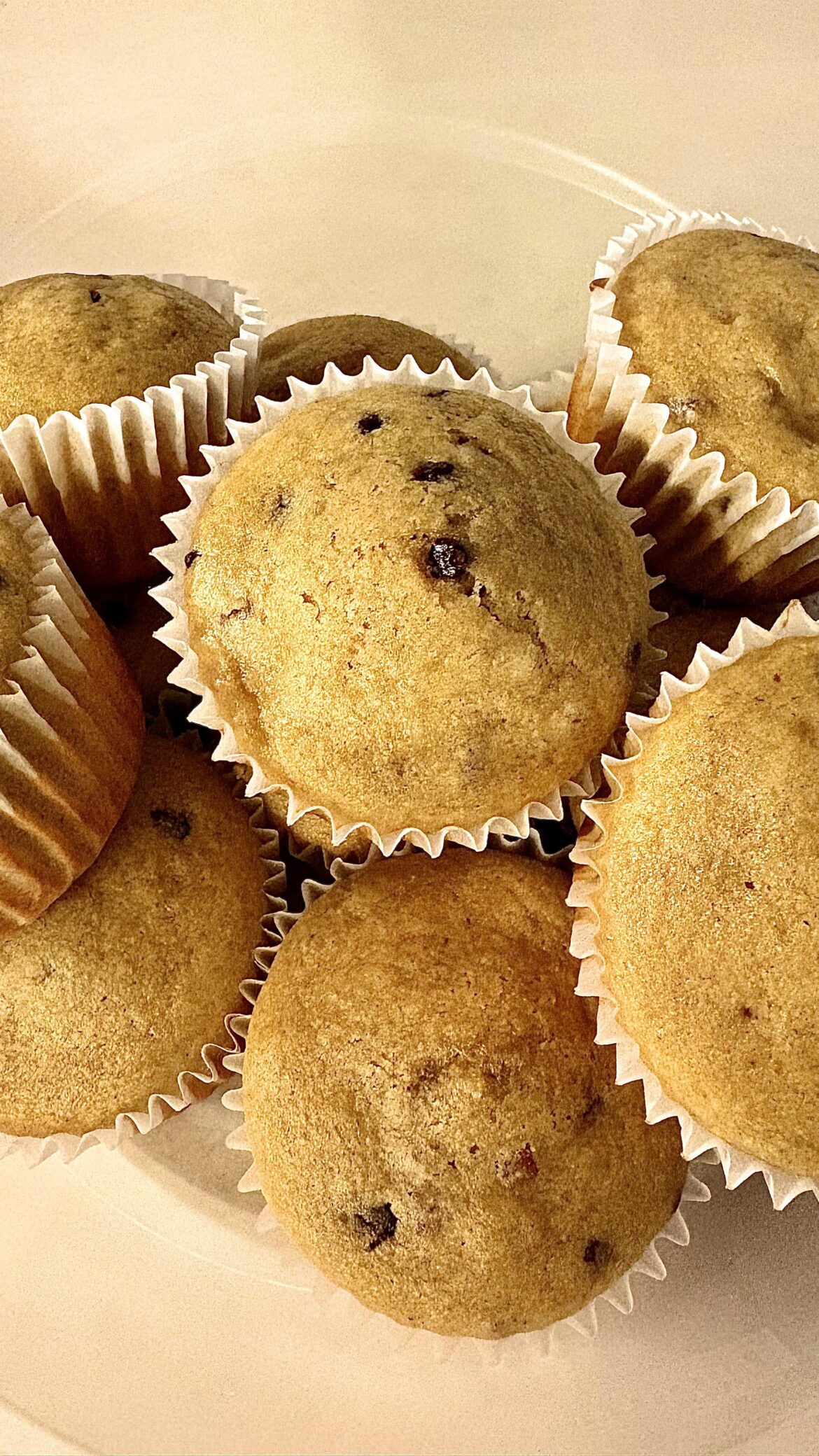 Banana Pecan Chocolate Chip Protein Muffins with