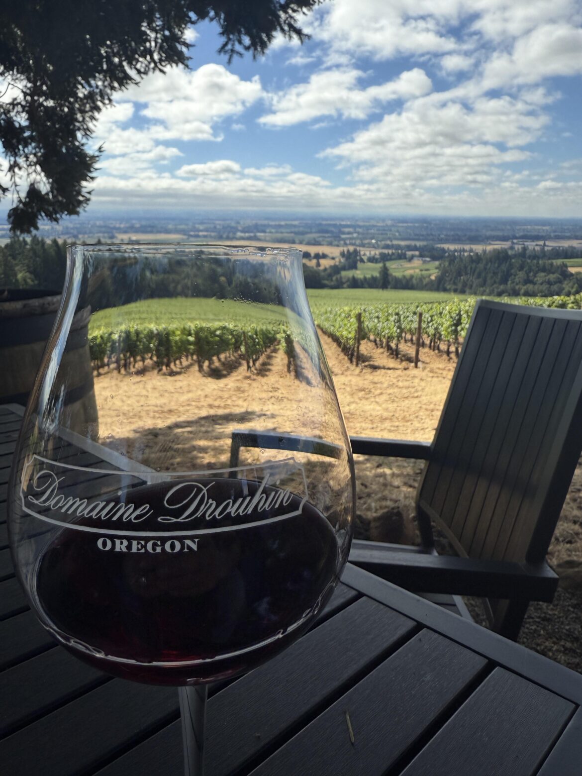 My wife surprised me for my birthday with our first wine trip to Oregon. Total surprise!