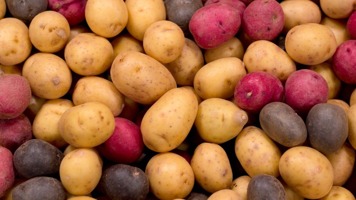 Are potatoes good for you? The healthiest way to eat a potato Are potatoes good for you? The healthiest way to eat a potato