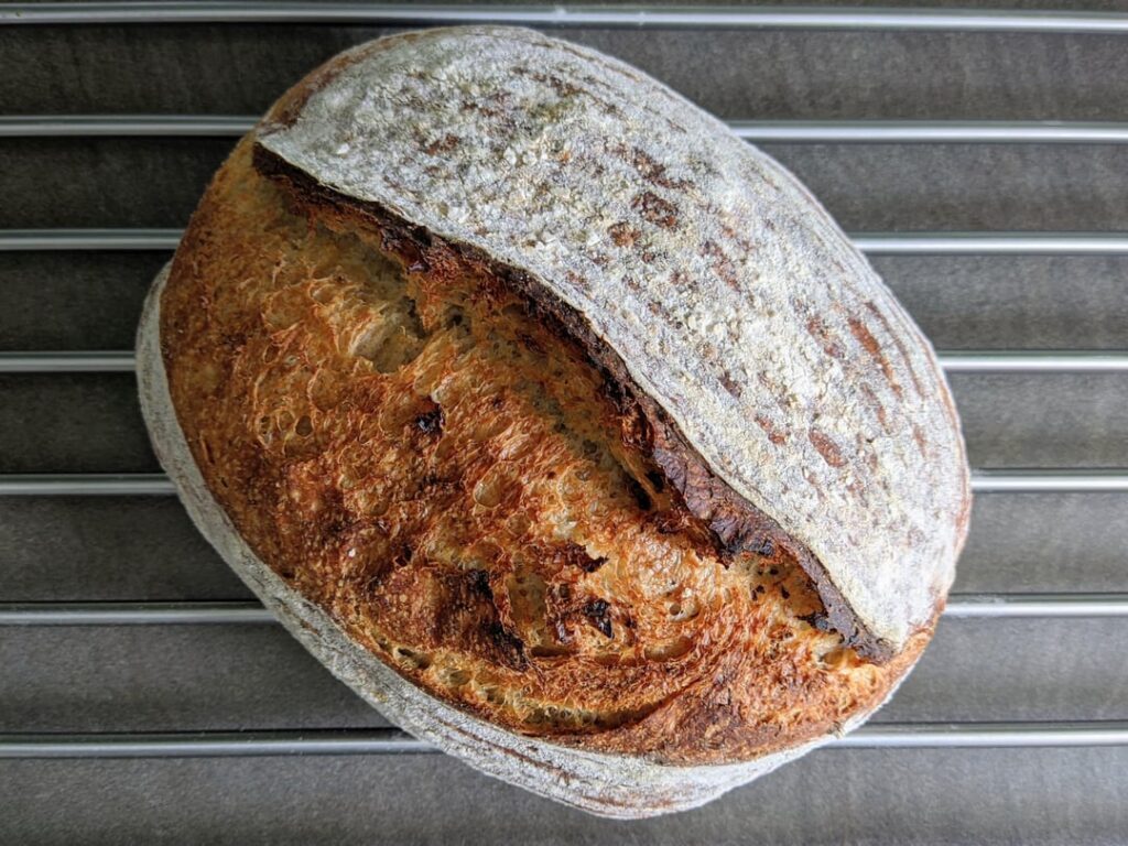 My starter was in a good mood