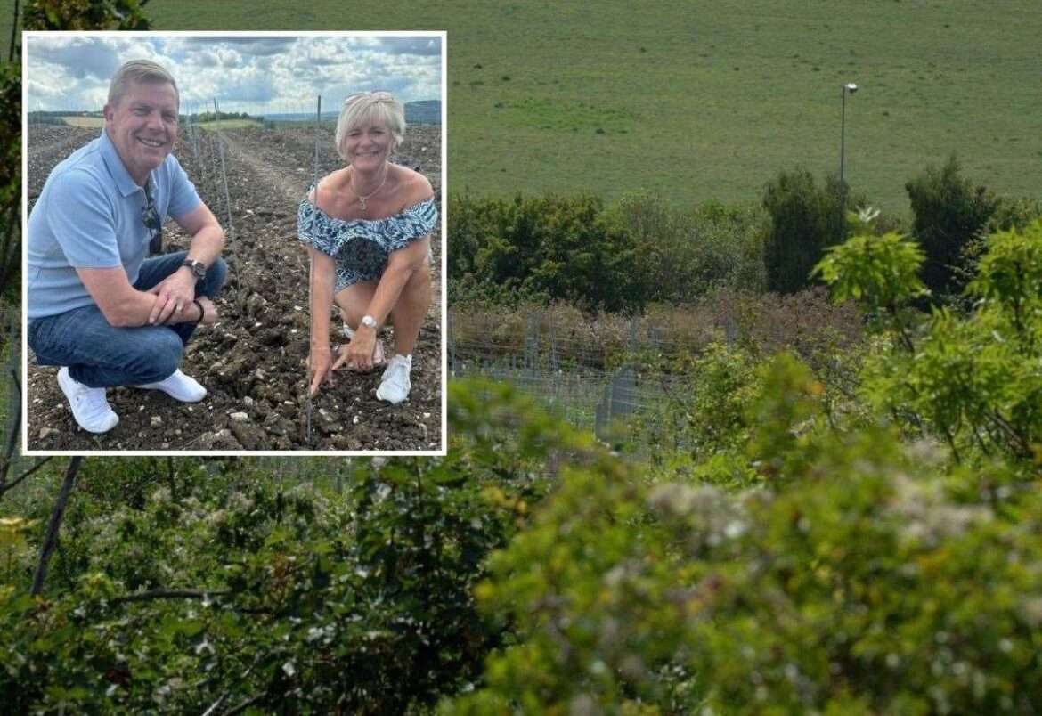 Enterprising couple team up with Nucleus Arts boss to launch Kent’s newest vineyard and winery at Fort Borstal, near Rochester Enterprising couple team up with Nucleus Arts boss to launch Kent’s newest vineyard and winery at Fort Borstal, near Rochester