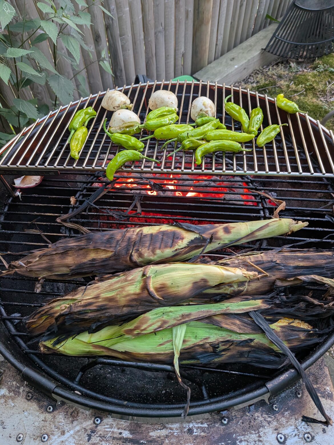 Enjoying my new raised grill layer!