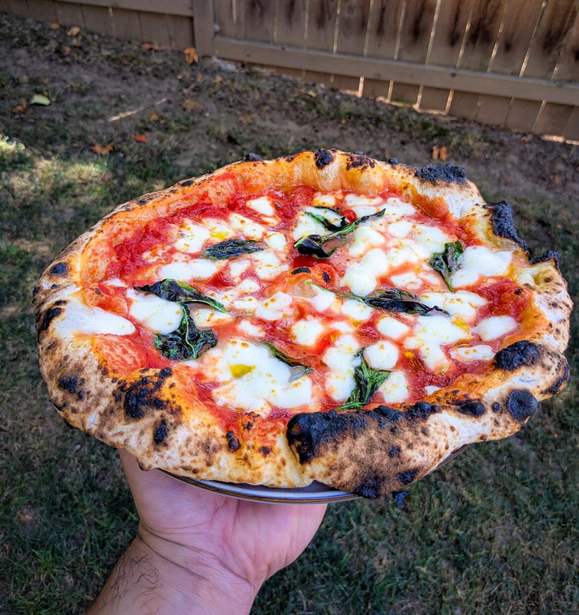 Margherita baked in 46 seconds