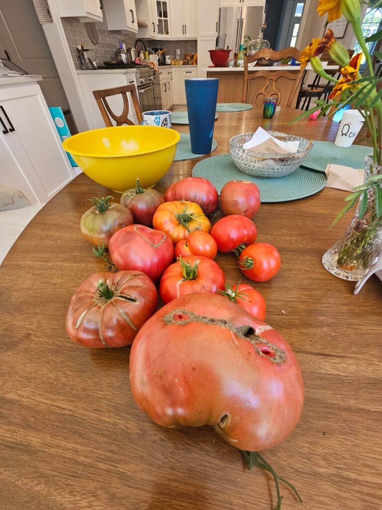 Cherokee purple is a prolific producer!