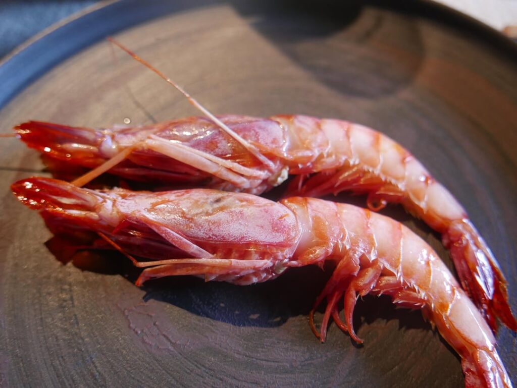 Txispa - August 2025