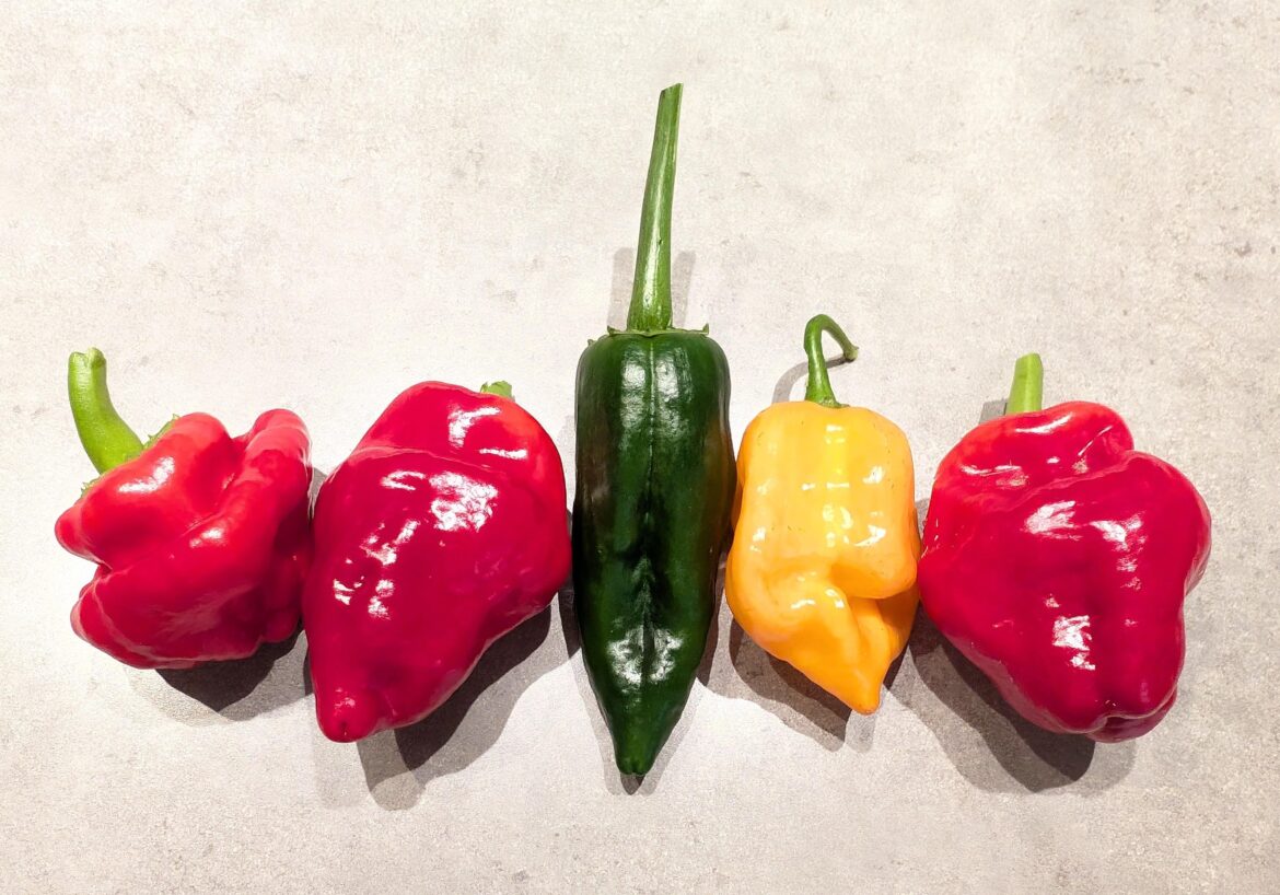 What's the green pepper?