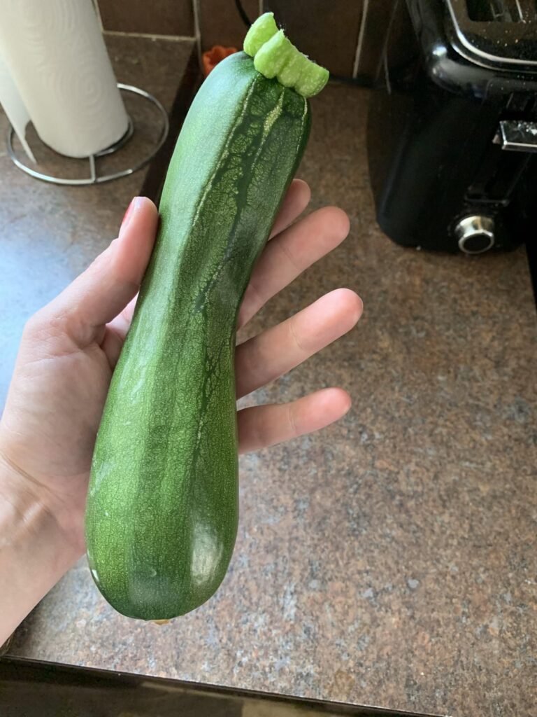 I defeated the squash vine borer!