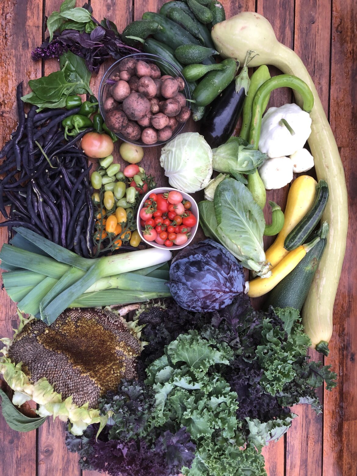 Best #harvestoftheday so far