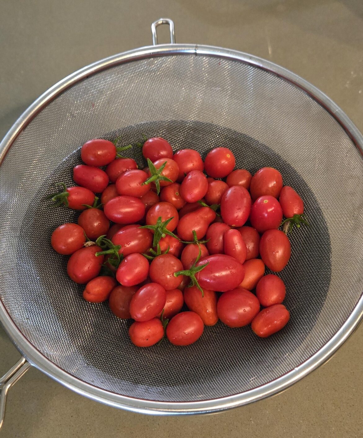 Grape Tomatoes Grown From Costco Tomatoes