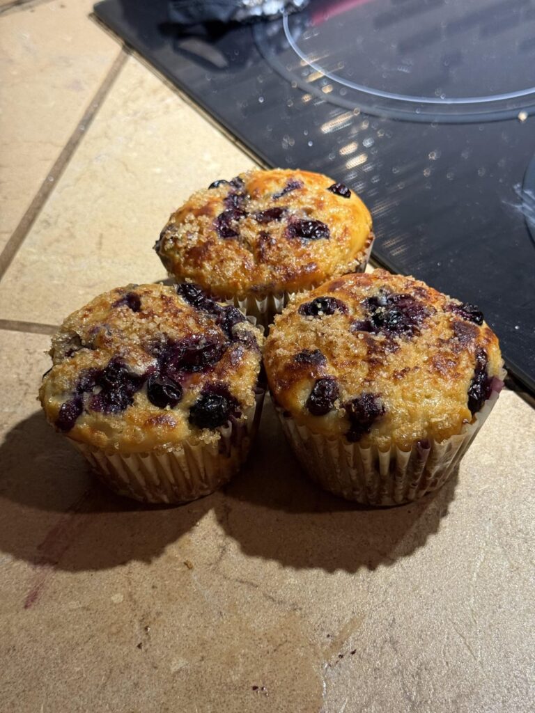 Jumbo Blueberry Muffins - 252 Calories 23G of protein.