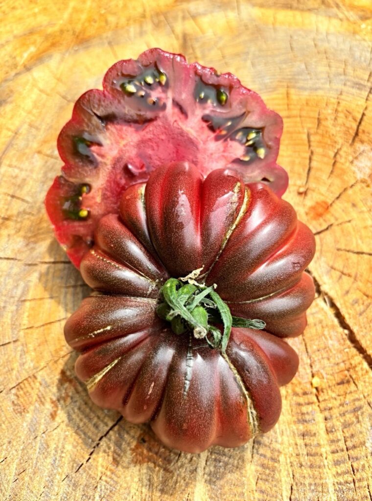 ZAPOTEC BROWN FLESH ZAPOTEC BROWN FLESH