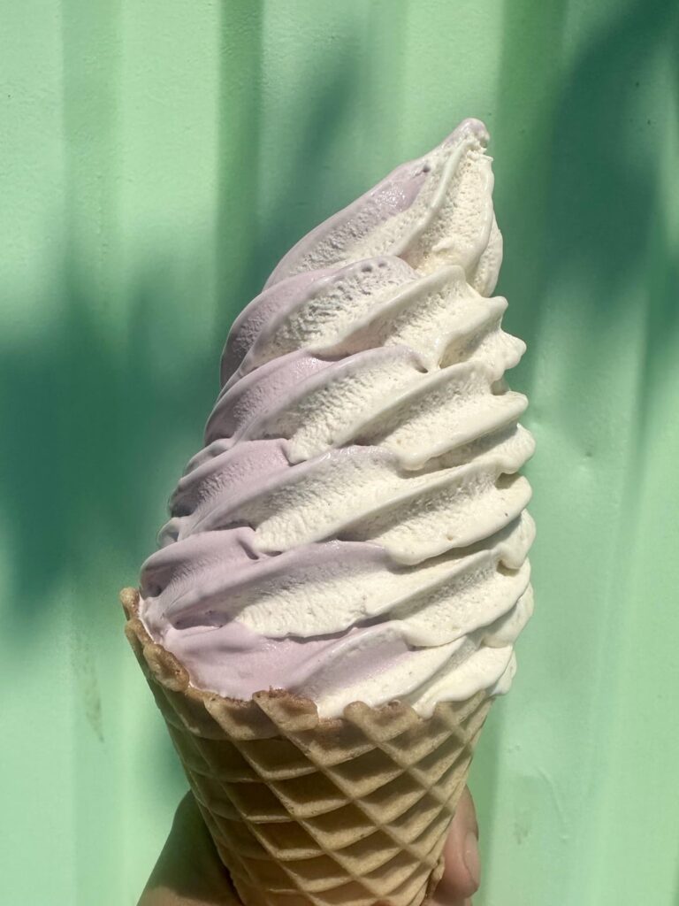 Peanut Butter/Black Raspberry soft serve twist White Dotte Dairy Bar Vincentown, NJ