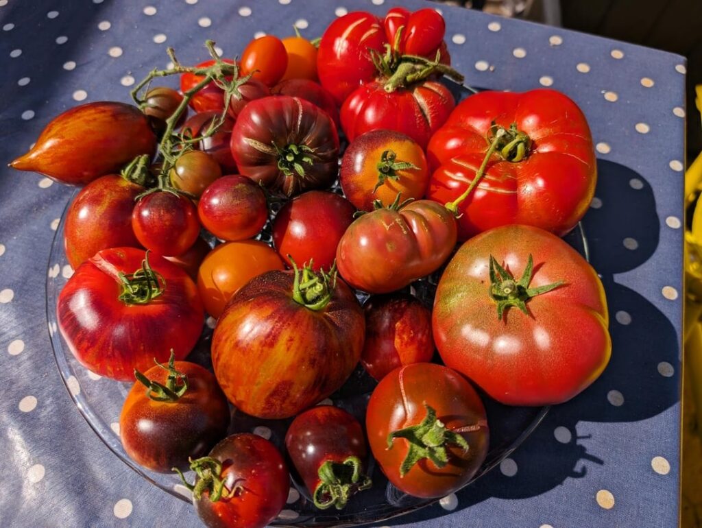 Everything’s fine. Just a casual pomodoro apocalypse.