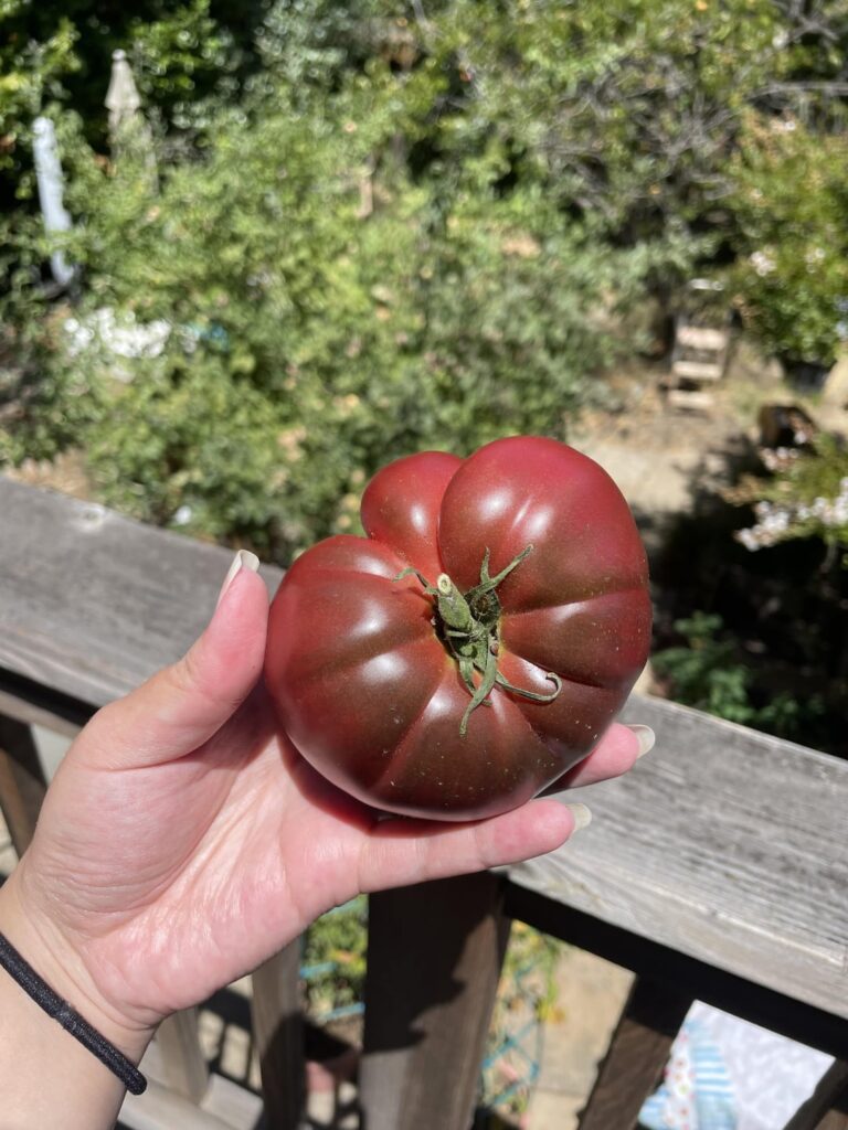 Cherokee purple was beautiful but underwhelming! Cherokee purple was beautiful but underwhelming!