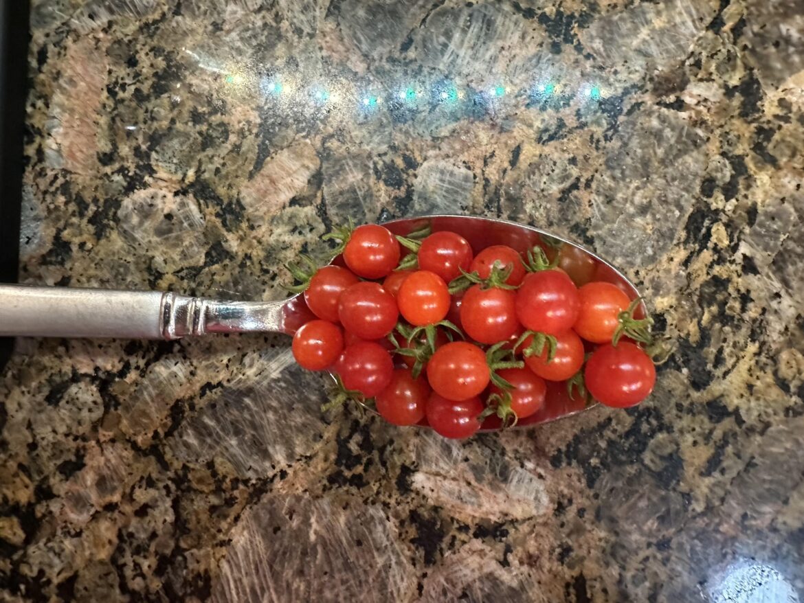 Spoon Tomatoes!