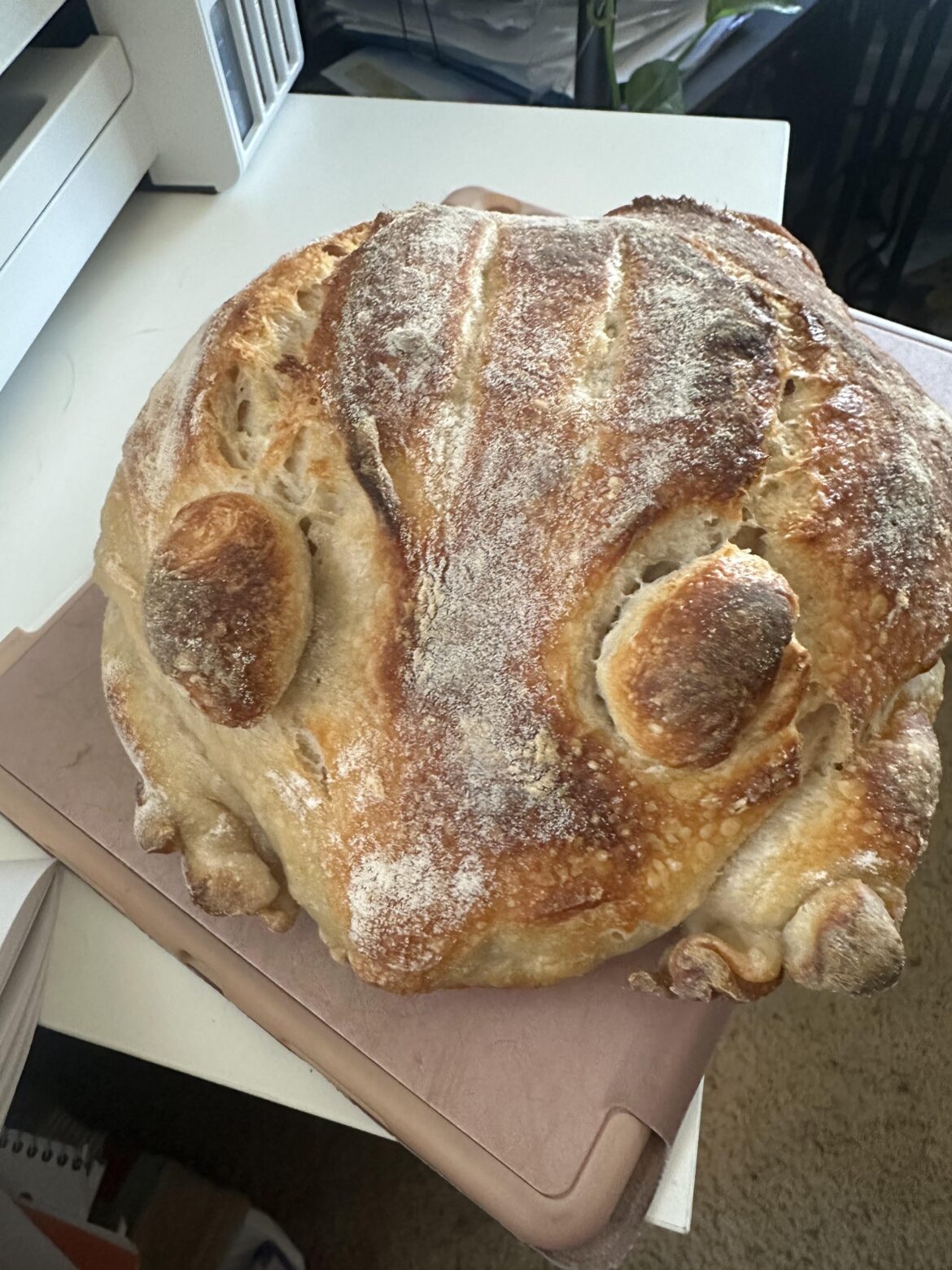 Proud of my first attempt at shaping my sourdough 🥺. In case you’re wondering…. it’s a frog!