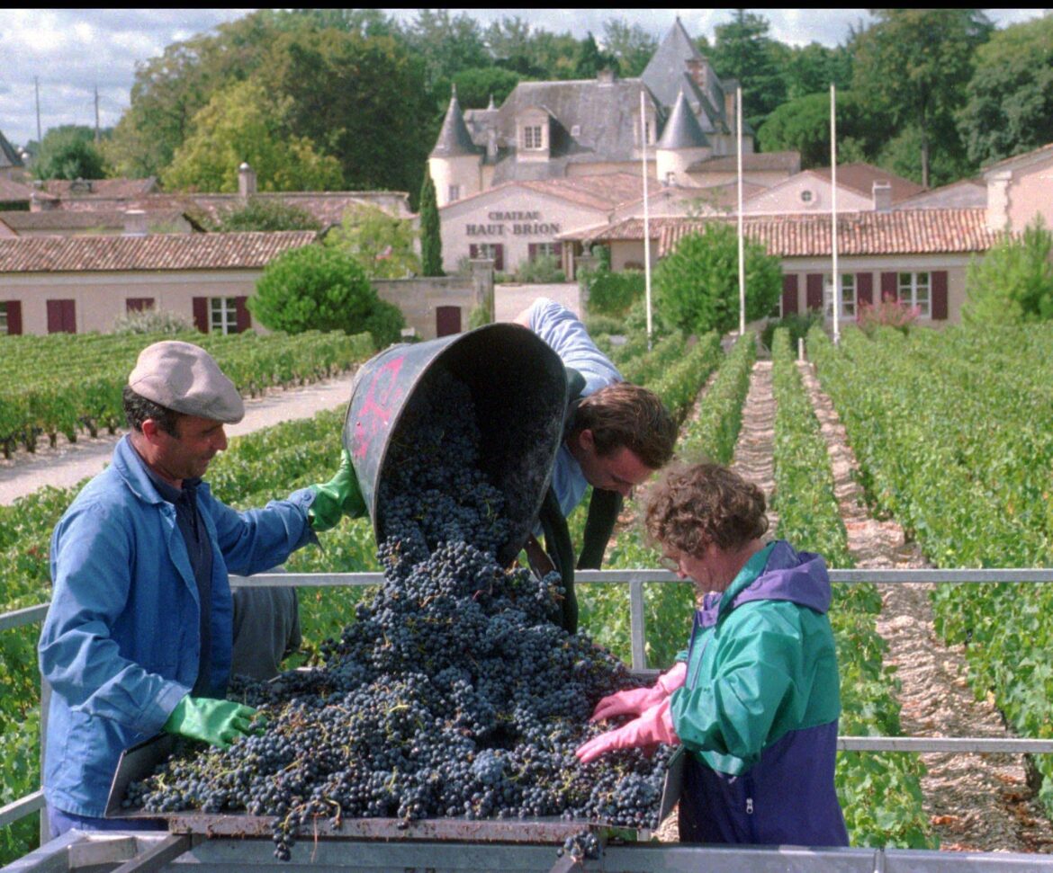 The Red Wine Paradox | On the Media The Red Wine Paradox | On the Media