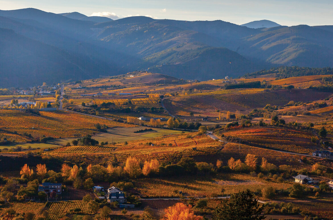 Spain’s hidden depths: Exploring regional strengths beyond Rioja and Ribera