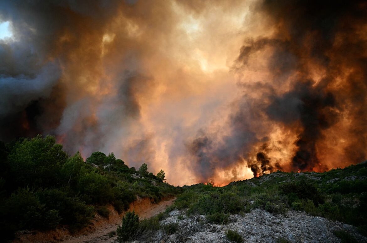 ‘Nightmare’ wildfire in southern France hits vineyards 'Nightmare' wildfire in southern France hits vineyards