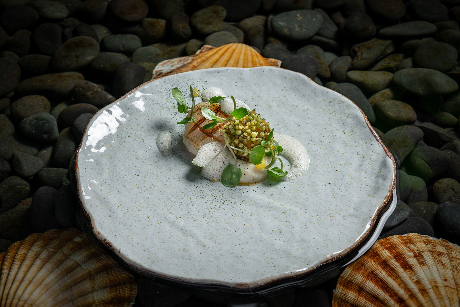 XO SAUCE, Brittany scallop , Cauliflower