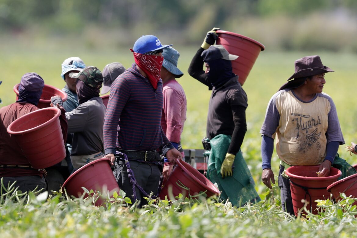 Protecting the People Who Grow Our Food