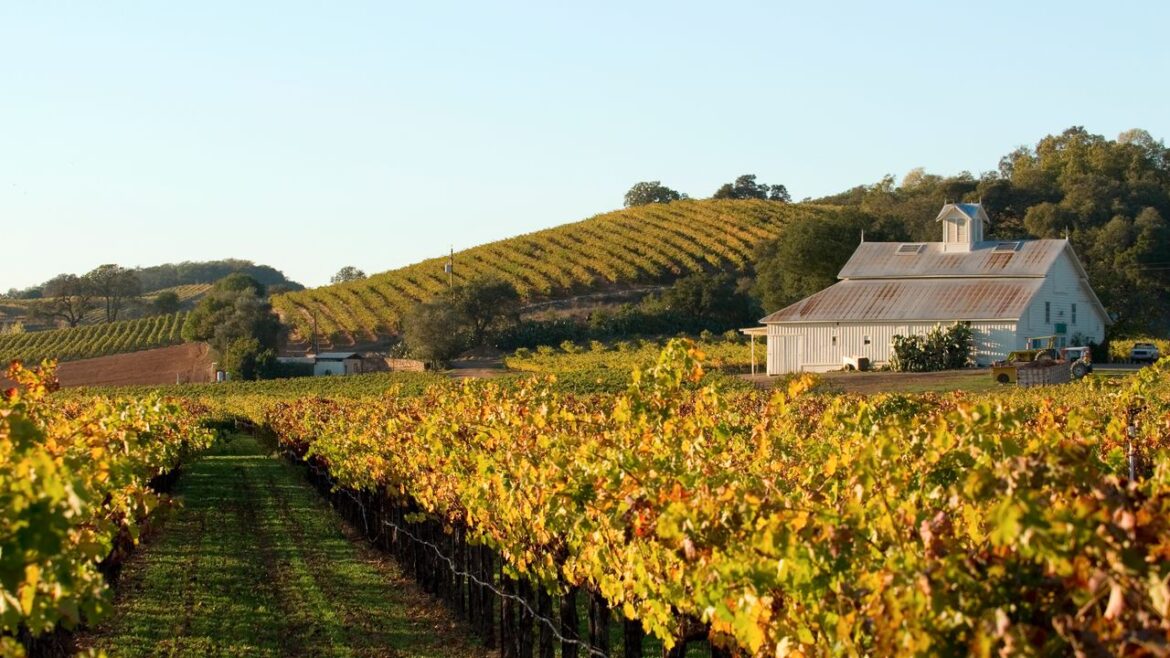 Napa Valley Guide: Where to Stay, Eat, and Sip in the Crown Jewel of California Wine Country