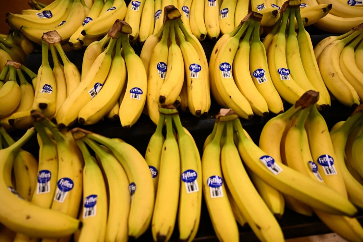 ​Eating these potassium-rich foods could drastically cut your risk of death, new study shows