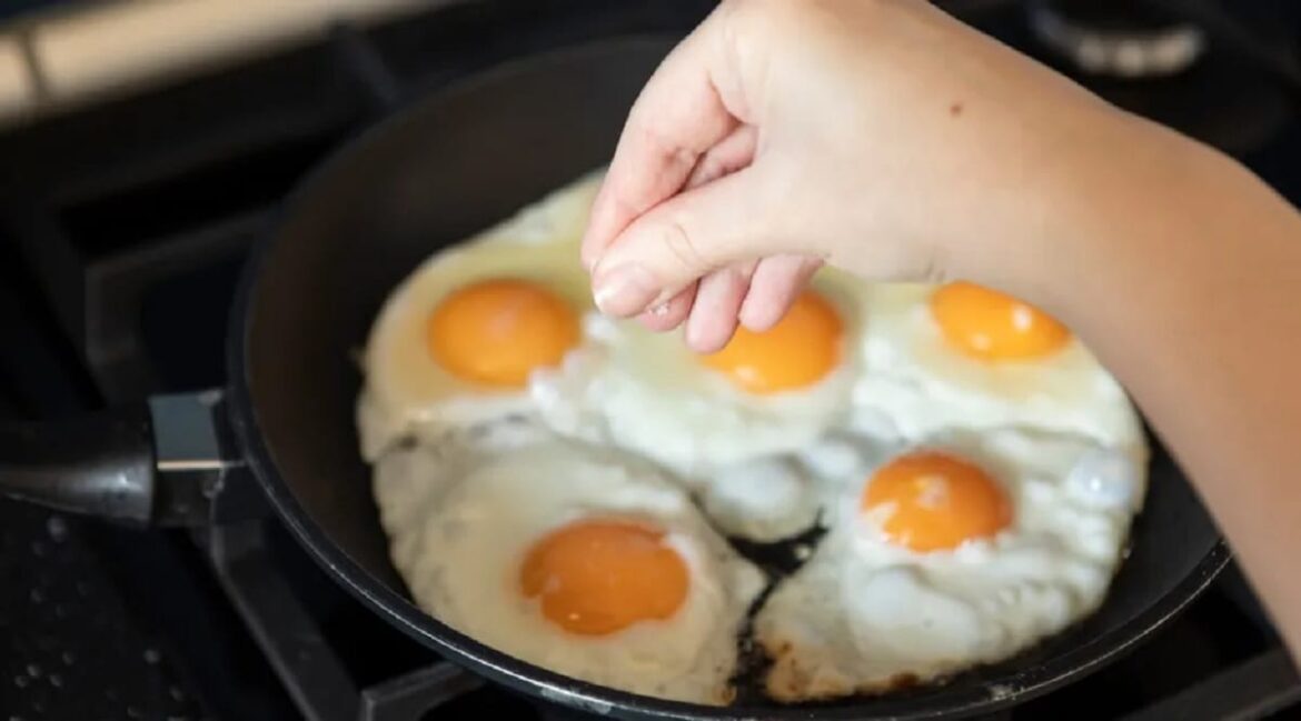 Here are the effects of eggs on the brain according to this study