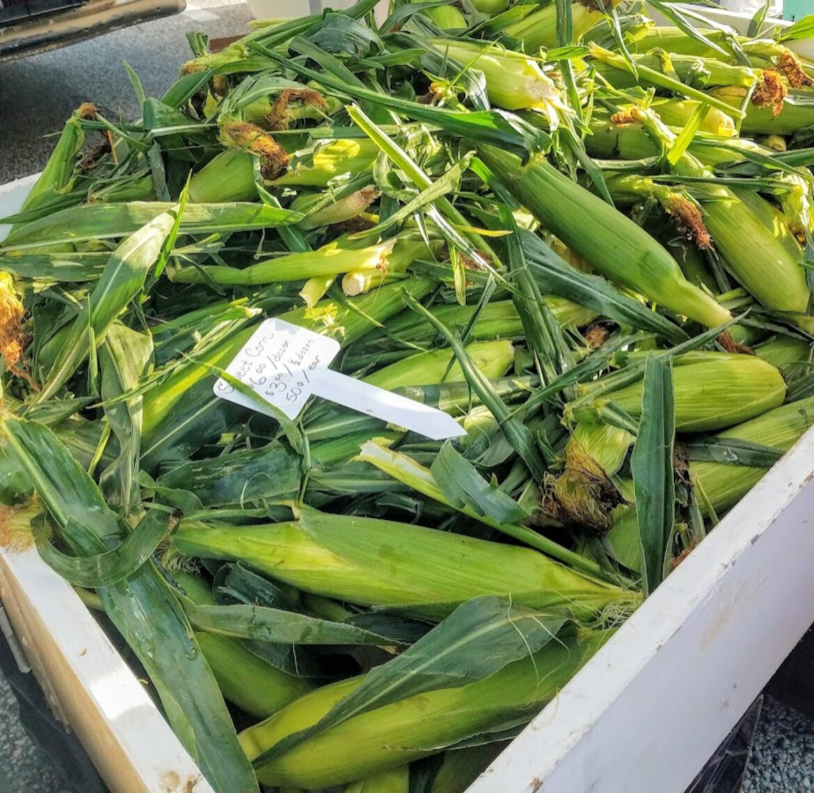 Stop boiling farm-fresh corn: How to cook it right
