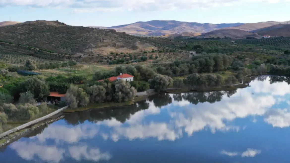 Quality, taste and sustainability – The Greek Herald