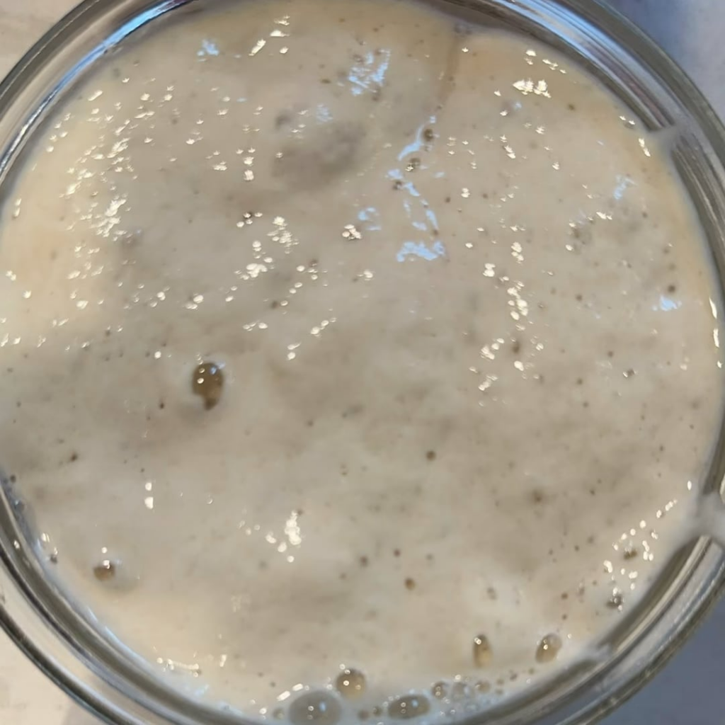 I took a Timelapse of my “bubbly and active starter!”