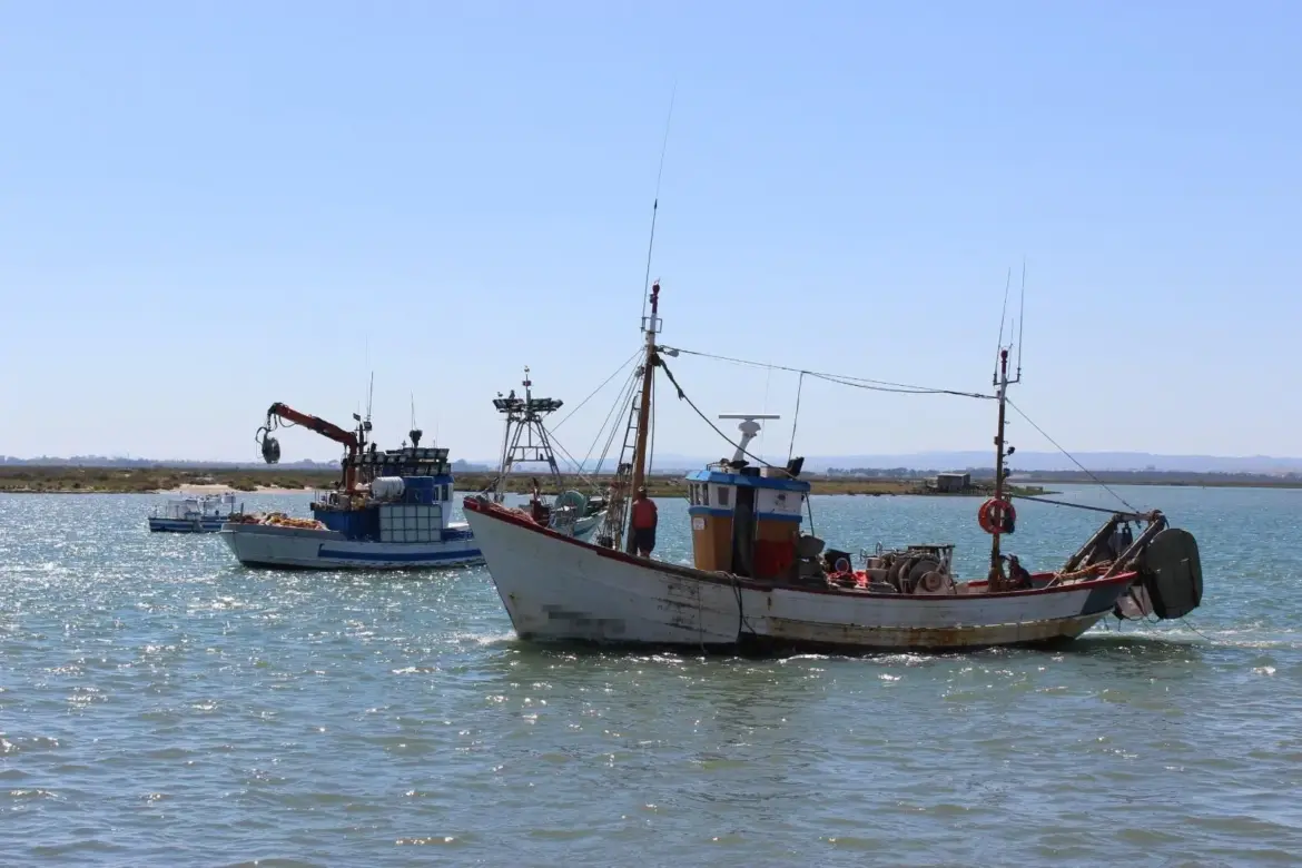 The Mediterranean seeks balance between sustainable fishing and food security: FAO proposes comprehensive solutions.