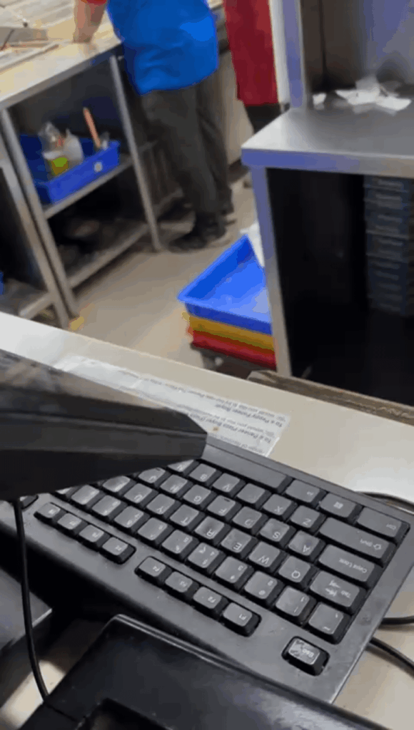 Fly on Domino's Pizza