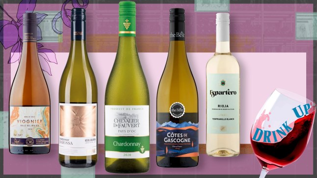 Bottles of white wine on a purple background with the Drink Up logo