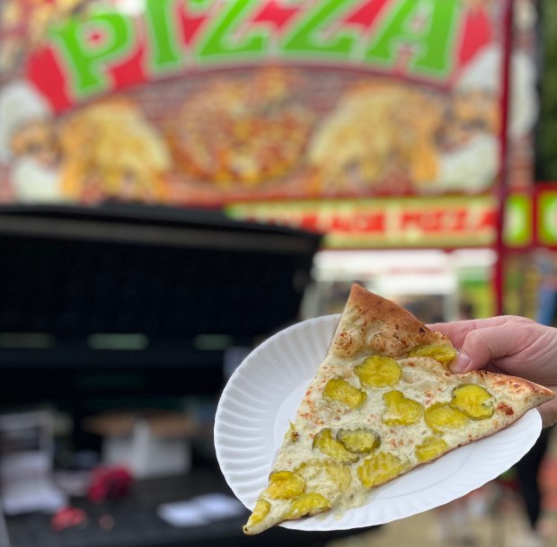 Pizza with pickles on it