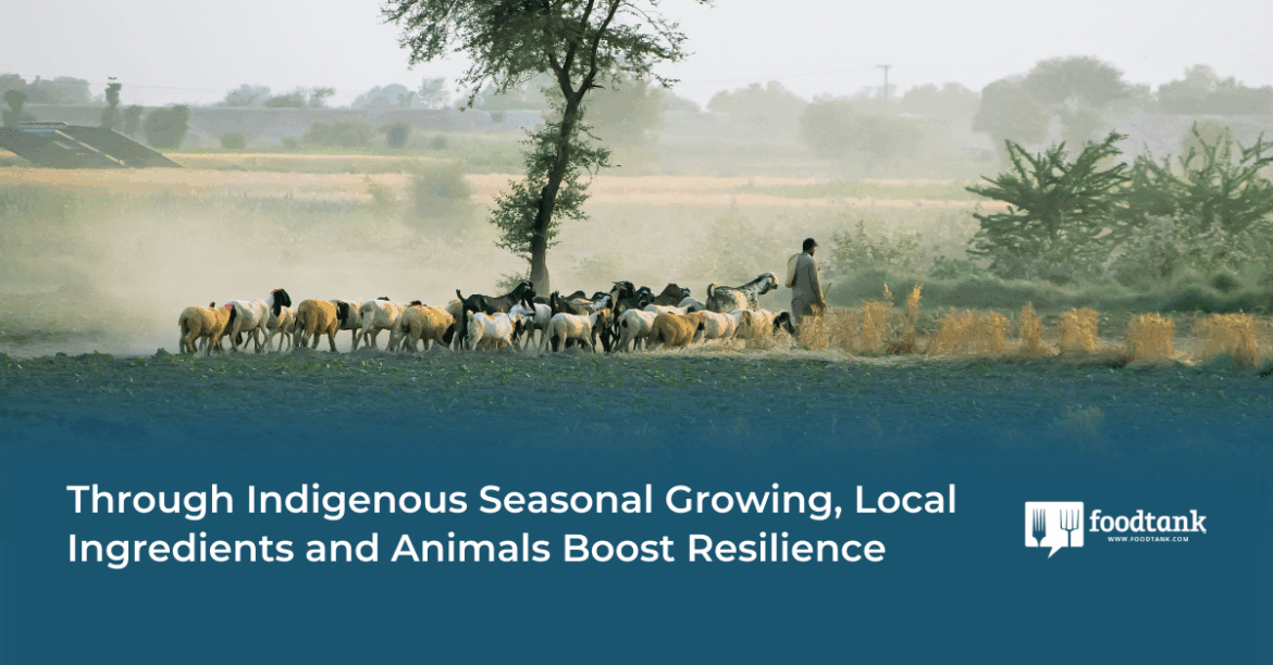 Through Indigenous Seasonal Growing, Local Ingredients and Animals Boost Resilience – Food Tank