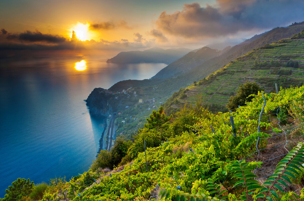 The hidden wine gems of the Italian coast The hidden wine gems of the Italian coast