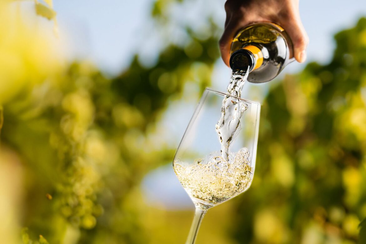 Here Are the Differences That Matter Here Are the Differences That Matter