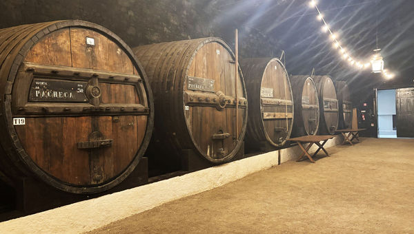 The barrel room at Quinta da Pacheca.
