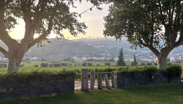 The sun sets on Quinta de Pacheca.