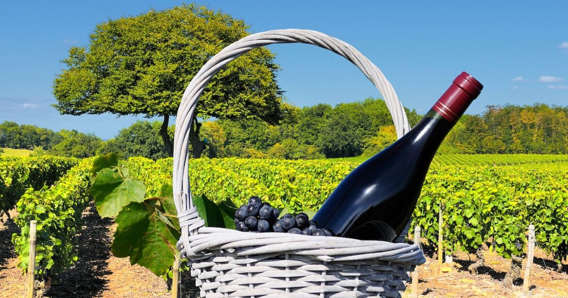 7 French wines from its best-loved regions – The Irish News 7 French wines from its best-loved regions – The Irish News