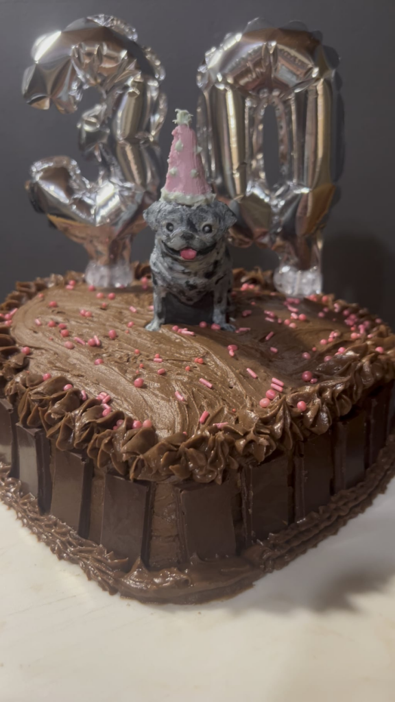 Party Pug Cake/ First Attempt Party Pug Cake/ First Attempt